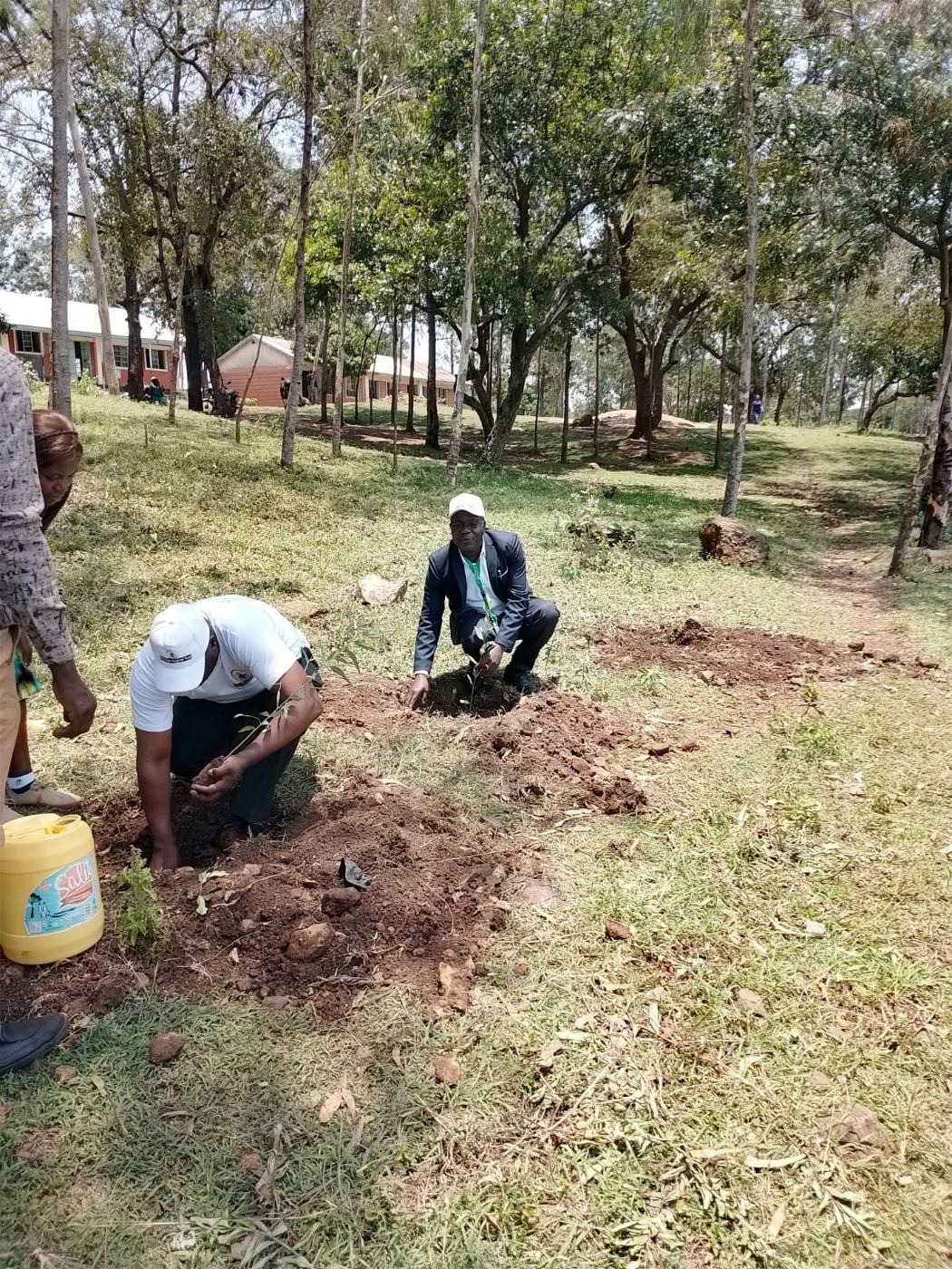 Tree planting activity (4)
