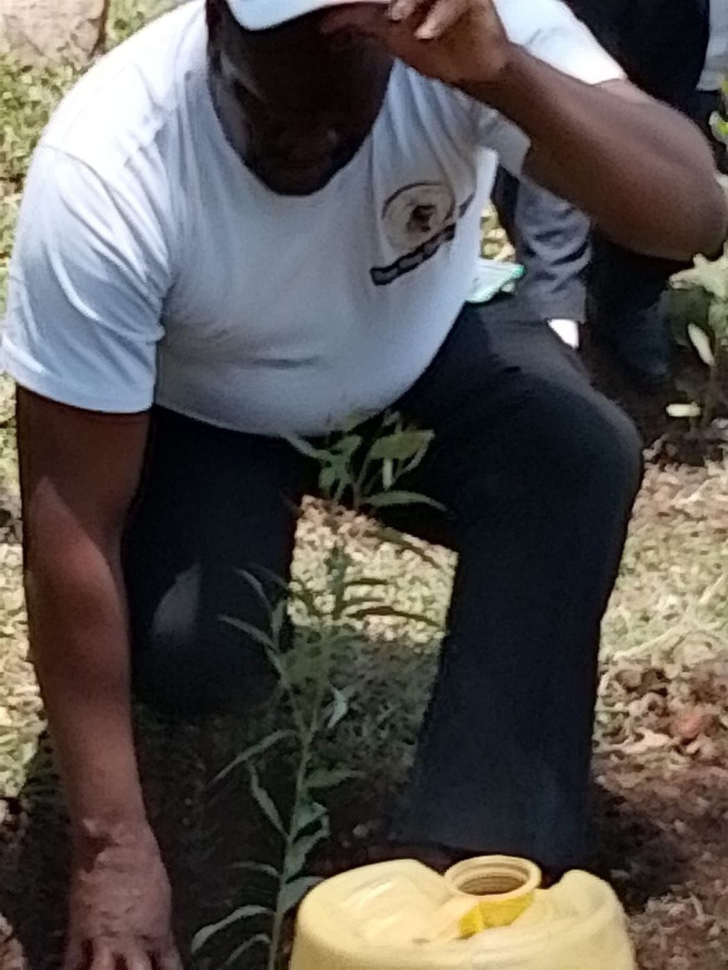 Tree planting activity (6)